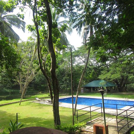 Dambulu Oya Family Park Otel Dambulla Dış mekan fotoğraf