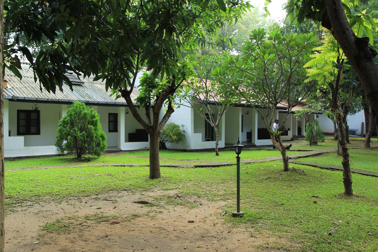 Dambulu Oya Family Park Otel Dambulla Dış mekan fotoğraf