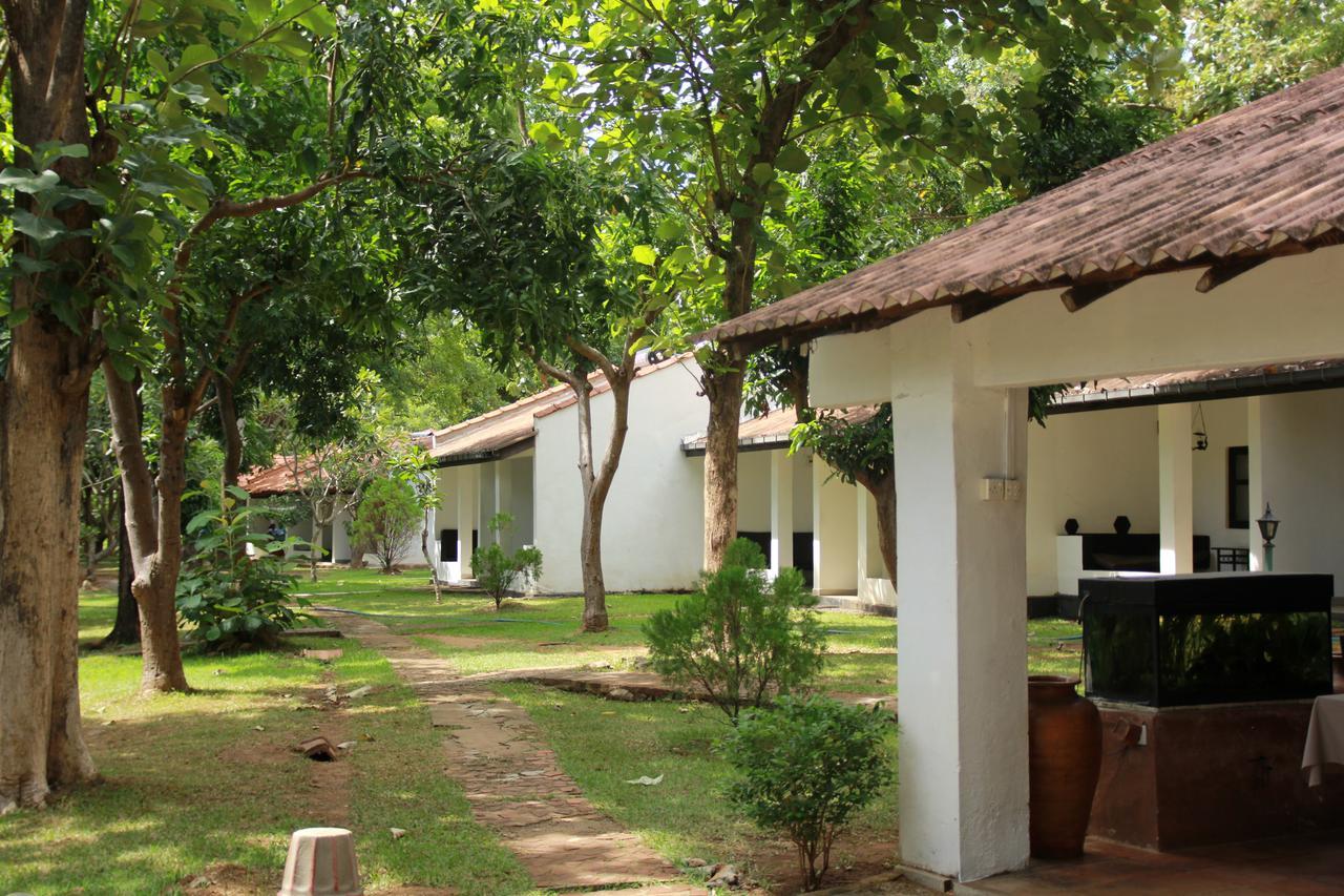 Dambulu Oya Family Park Otel Dambulla Dış mekan fotoğraf