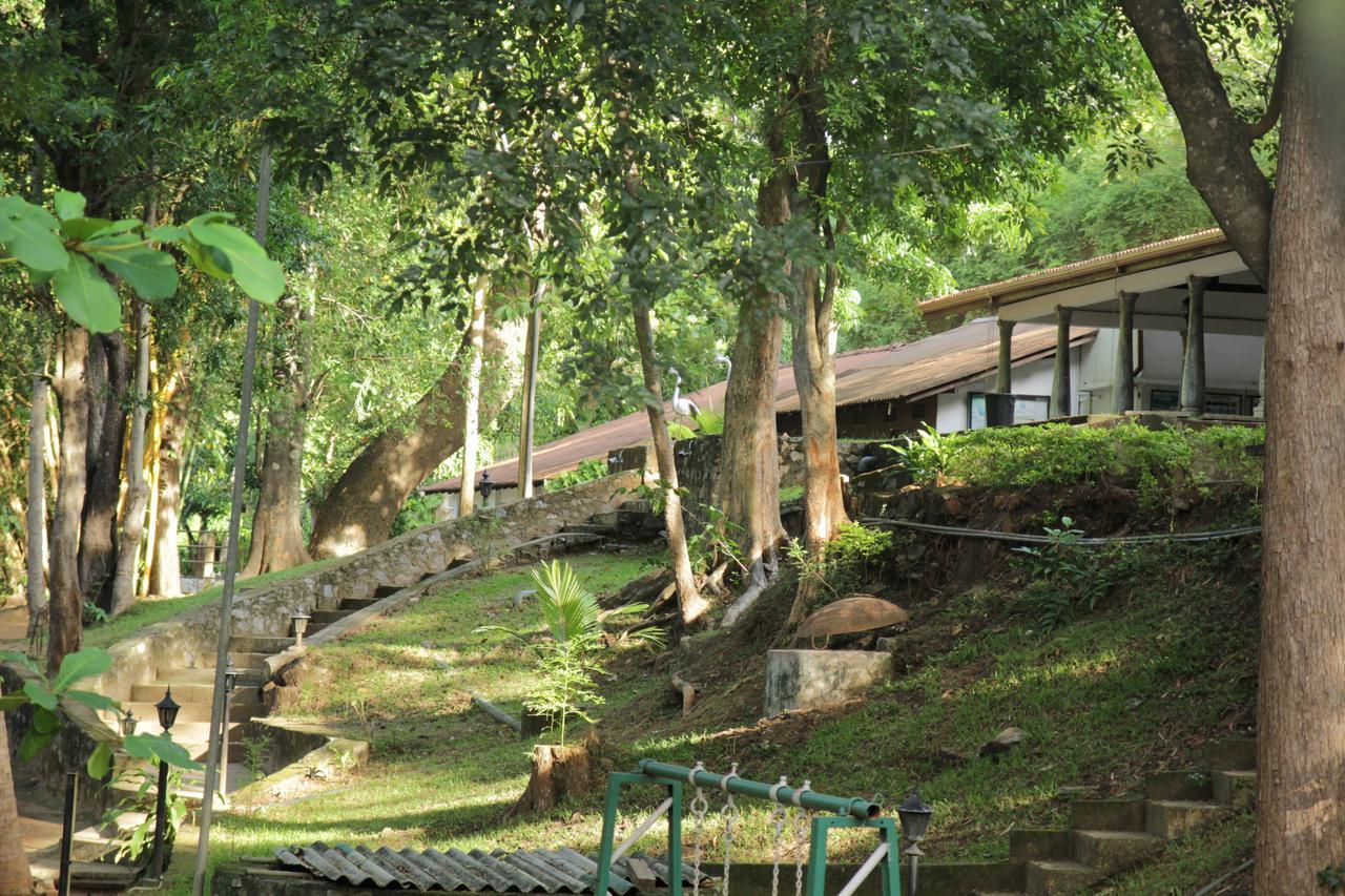 Dambulu Oya Family Park Otel Dambulla Dış mekan fotoğraf