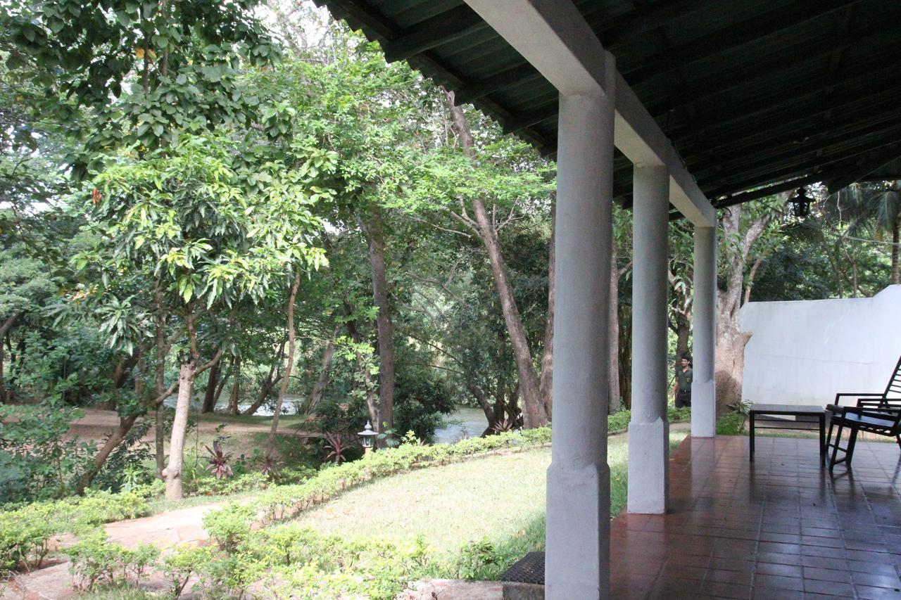 Dambulu Oya Family Park Otel Dambulla Dış mekan fotoğraf