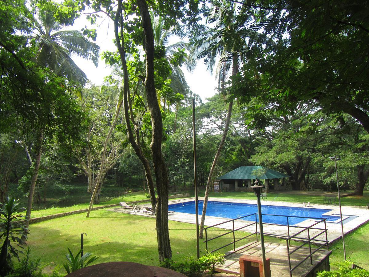 Dambulu Oya Family Park Otel Dambulla Dış mekan fotoğraf