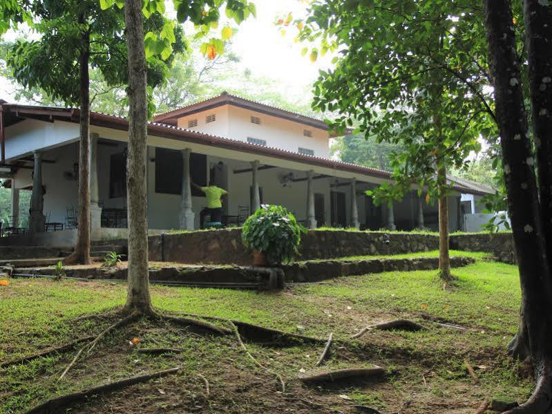 Dambulu Oya Family Park Otel Dambulla Dış mekan fotoğraf