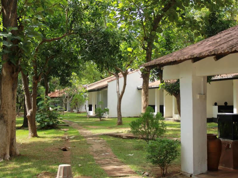 Dambulu Oya Family Park Otel Dambulla Dış mekan fotoğraf