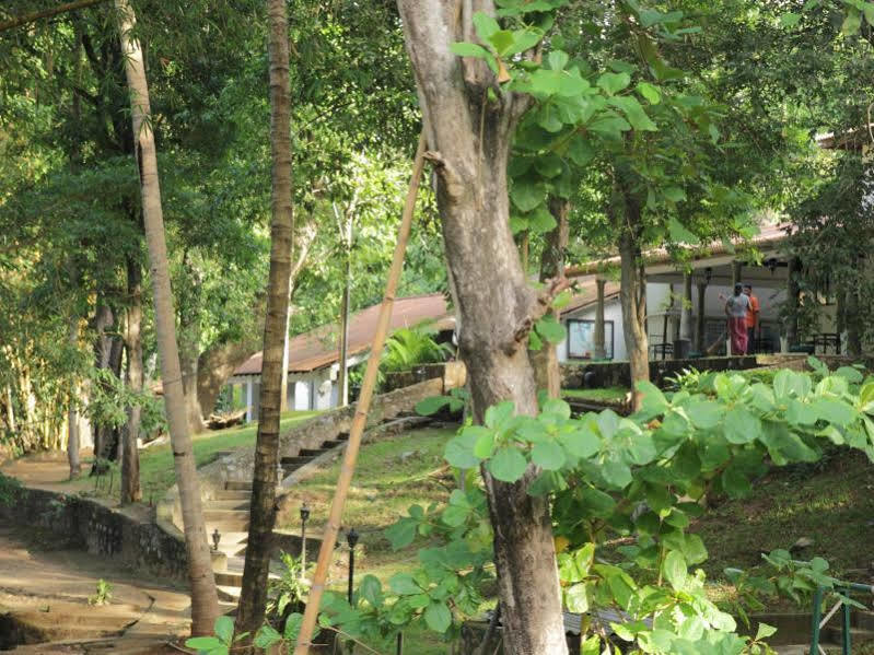 Dambulu Oya Family Park Otel Dambulla Dış mekan fotoğraf