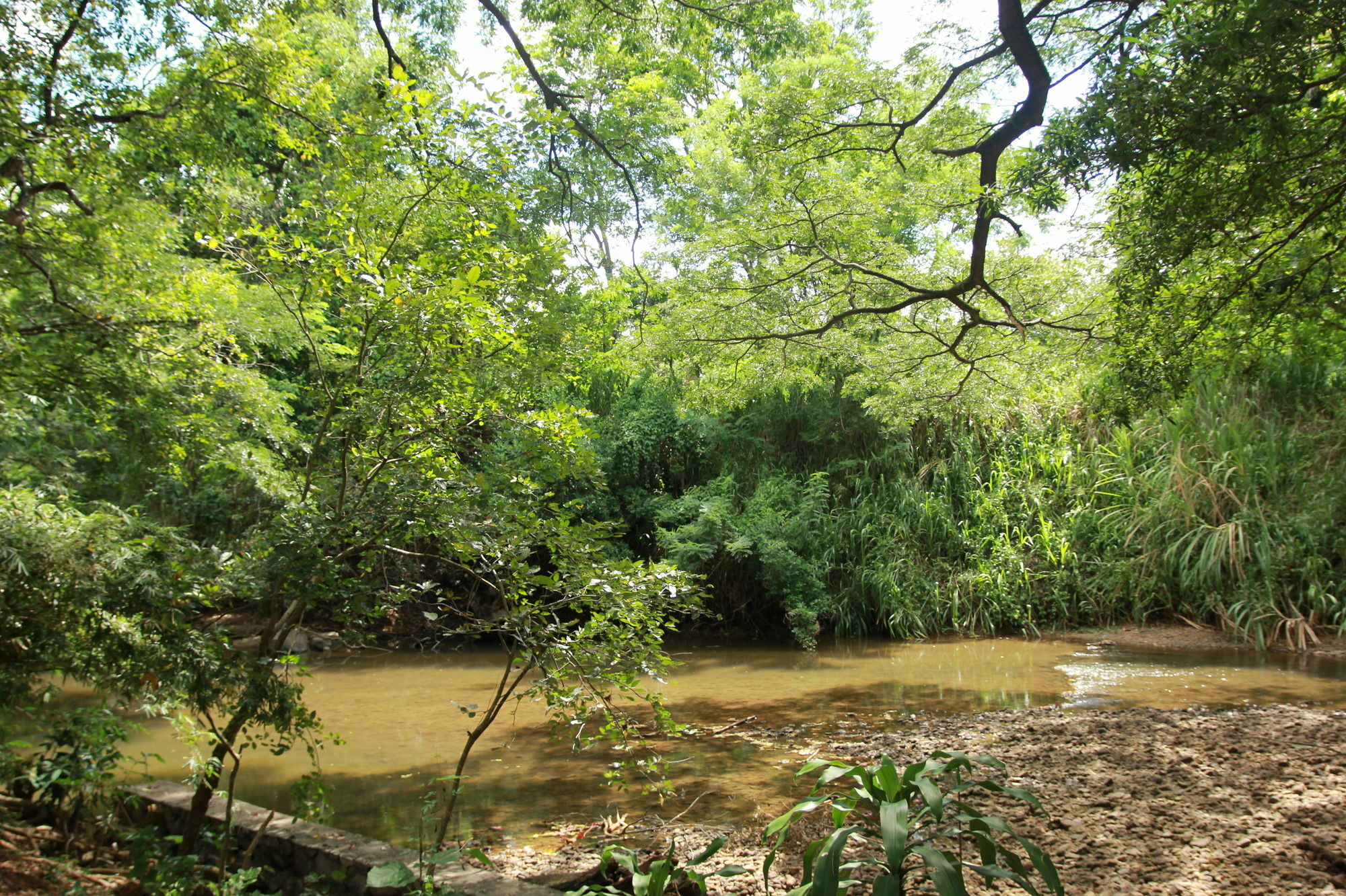 Dambulu Oya Family Park Otel Dambulla Dış mekan fotoğraf