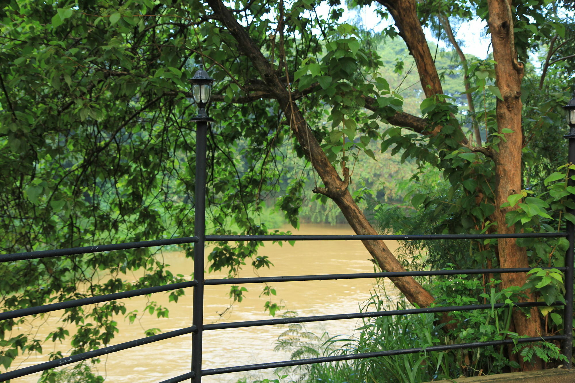 Dambulu Oya Family Park Otel Dambulla Dış mekan fotoğraf