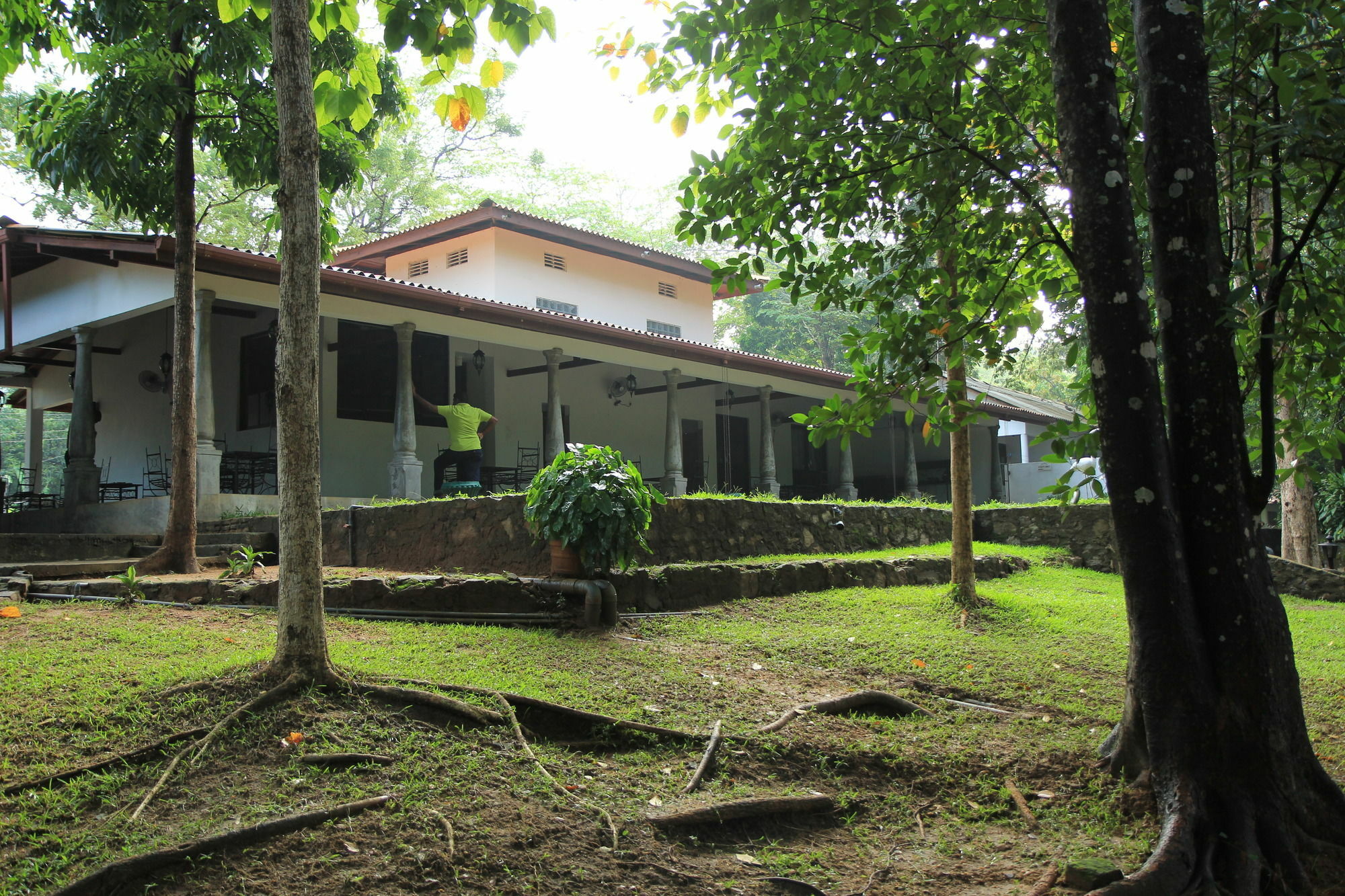 Dambulu Oya Family Park Otel Dambulla Dış mekan fotoğraf