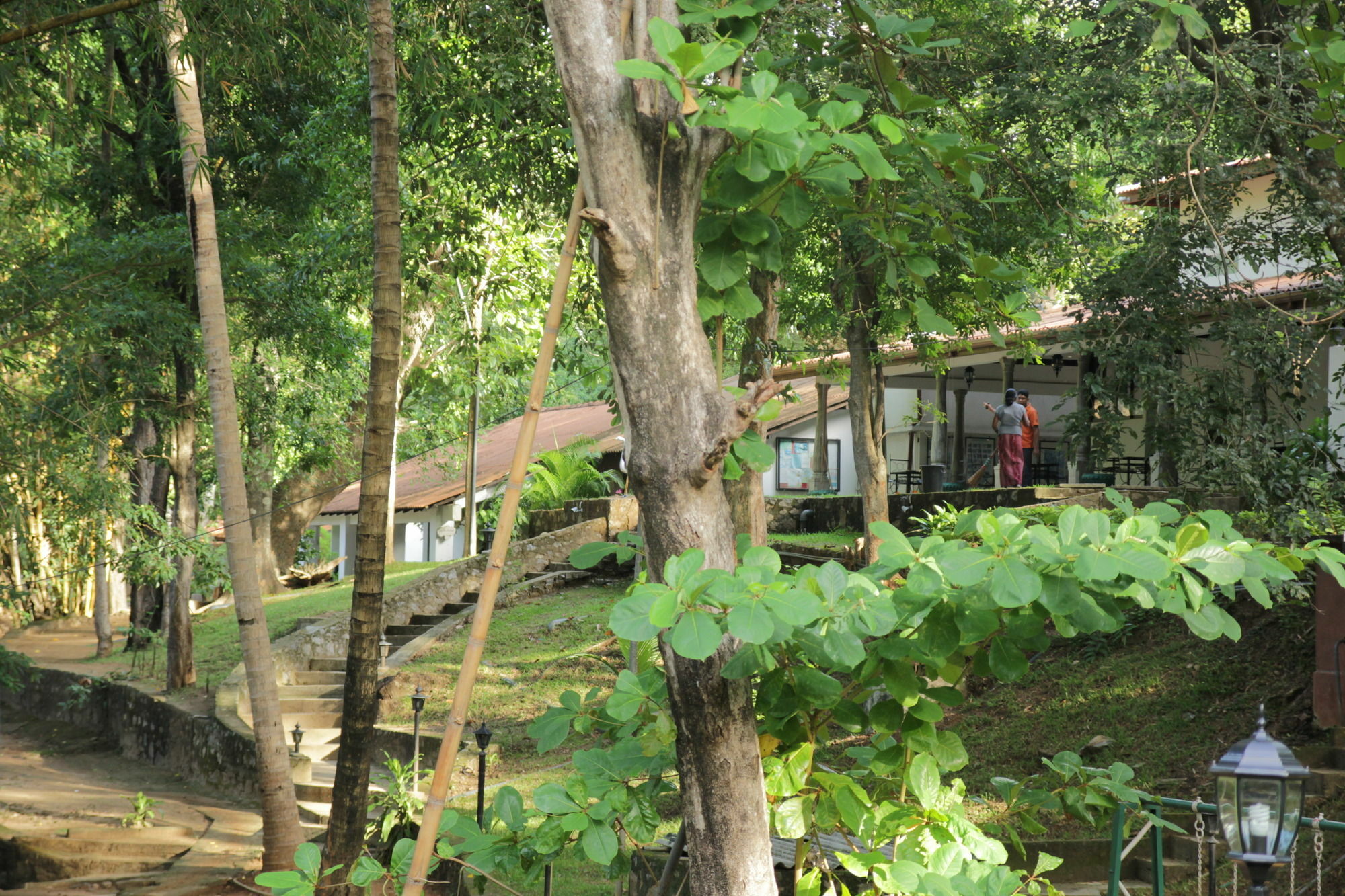 Dambulu Oya Family Park Otel Dambulla Dış mekan fotoğraf