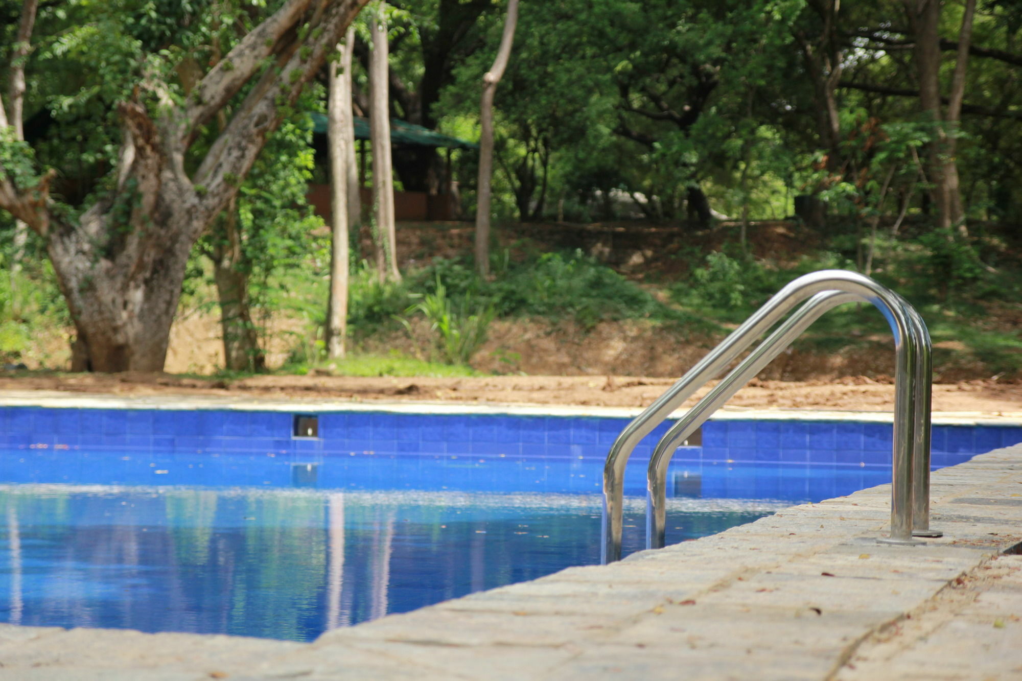 Dambulu Oya Family Park Otel Dambulla Dış mekan fotoğraf
