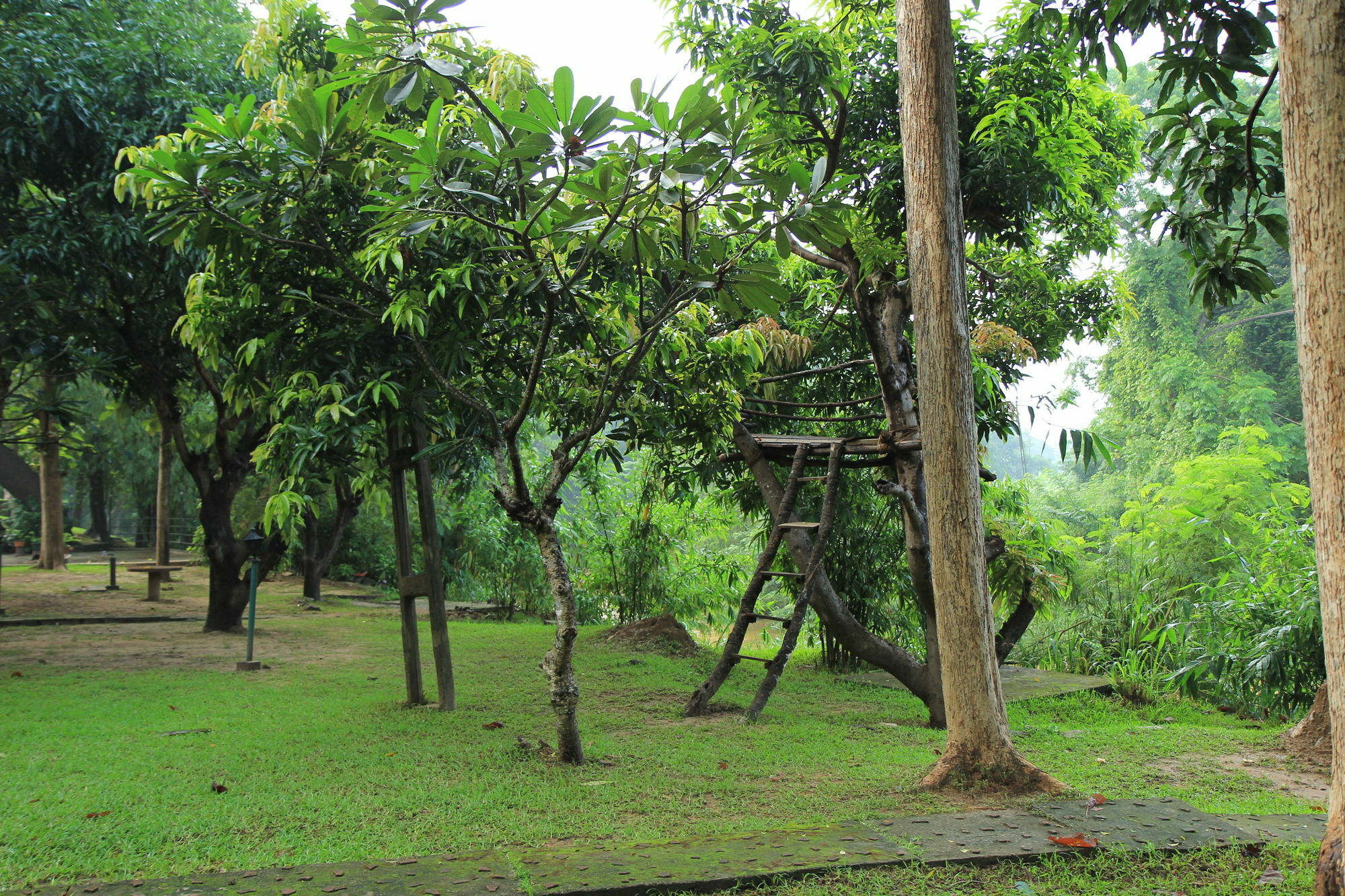 Dambulu Oya Family Park Otel Dambulla Dış mekan fotoğraf
